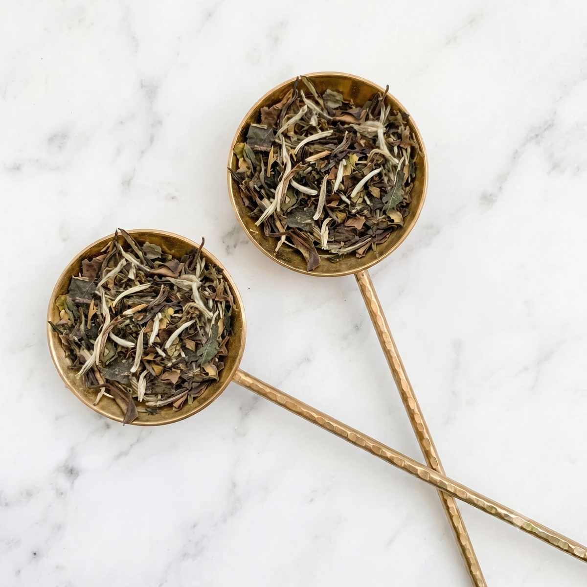 What is White Tea?