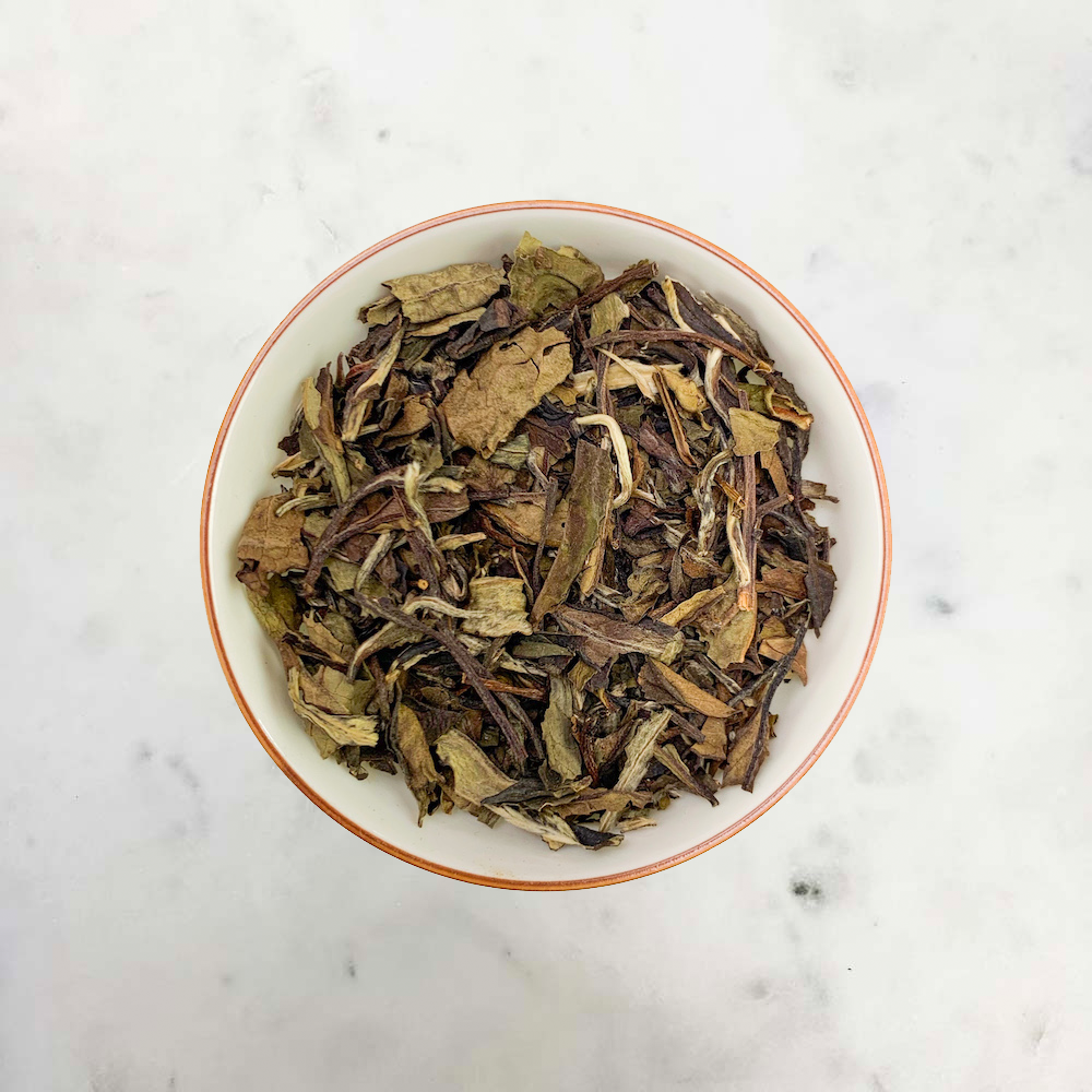 Tea for Three Loose Leaf Samples