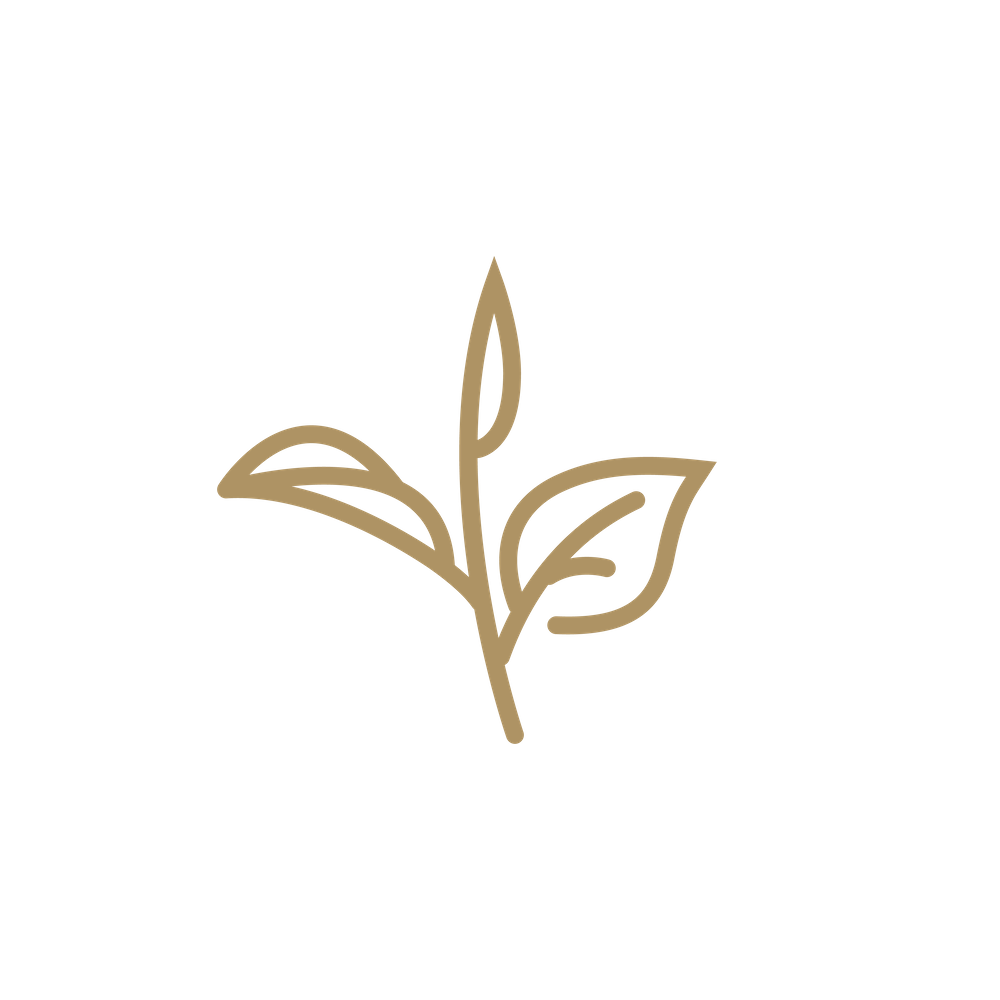 Masala Chai Classic Microground tea leaves
